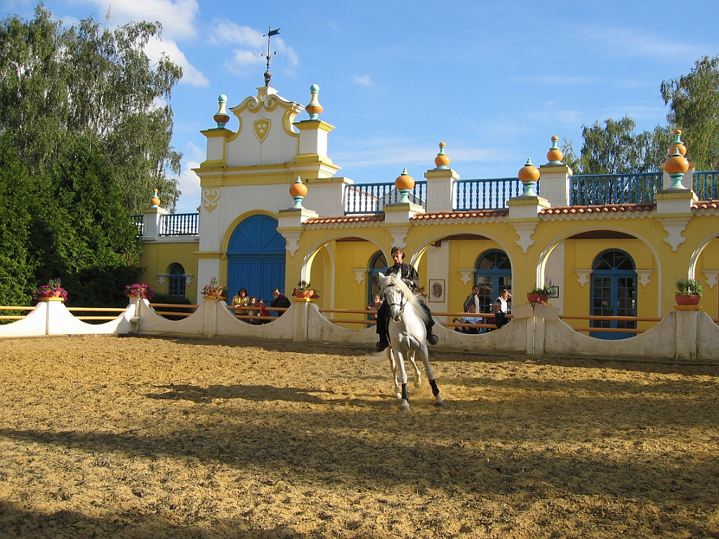 Dressage cheval 03.jpg